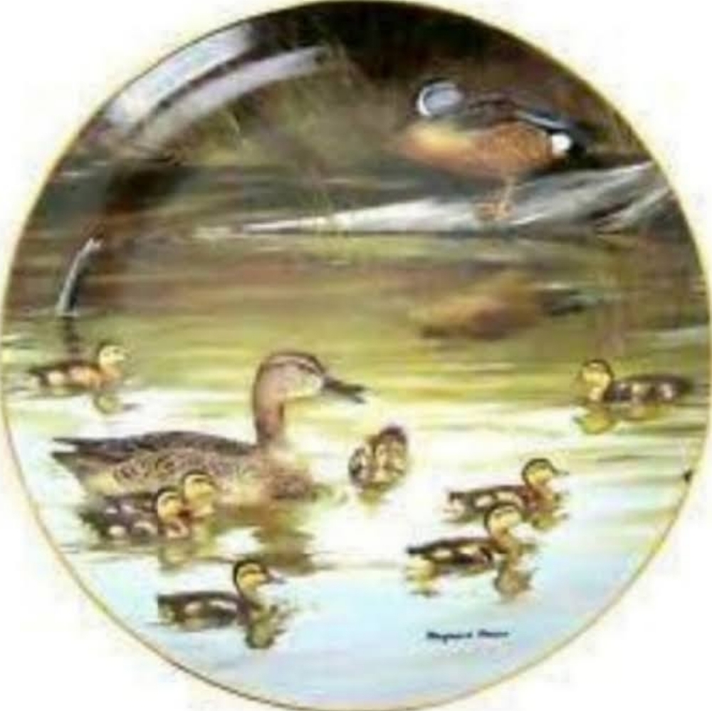 The Danbury Mint First Attempt Collectable Plate by Maynard Reece